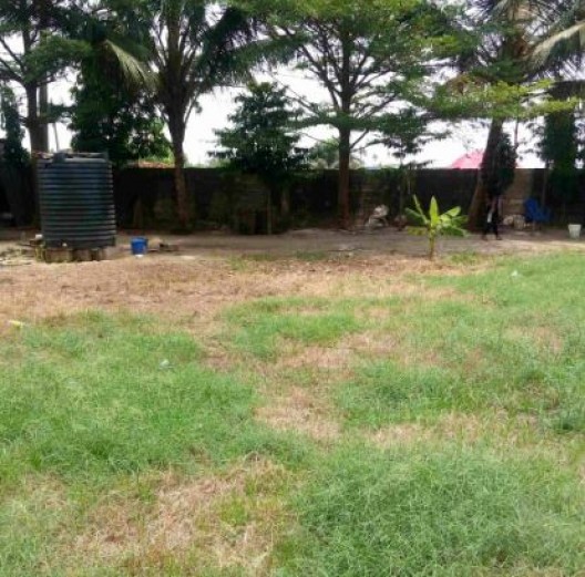 Joint Venture at Badore, Ajah - 1400sqm Land
